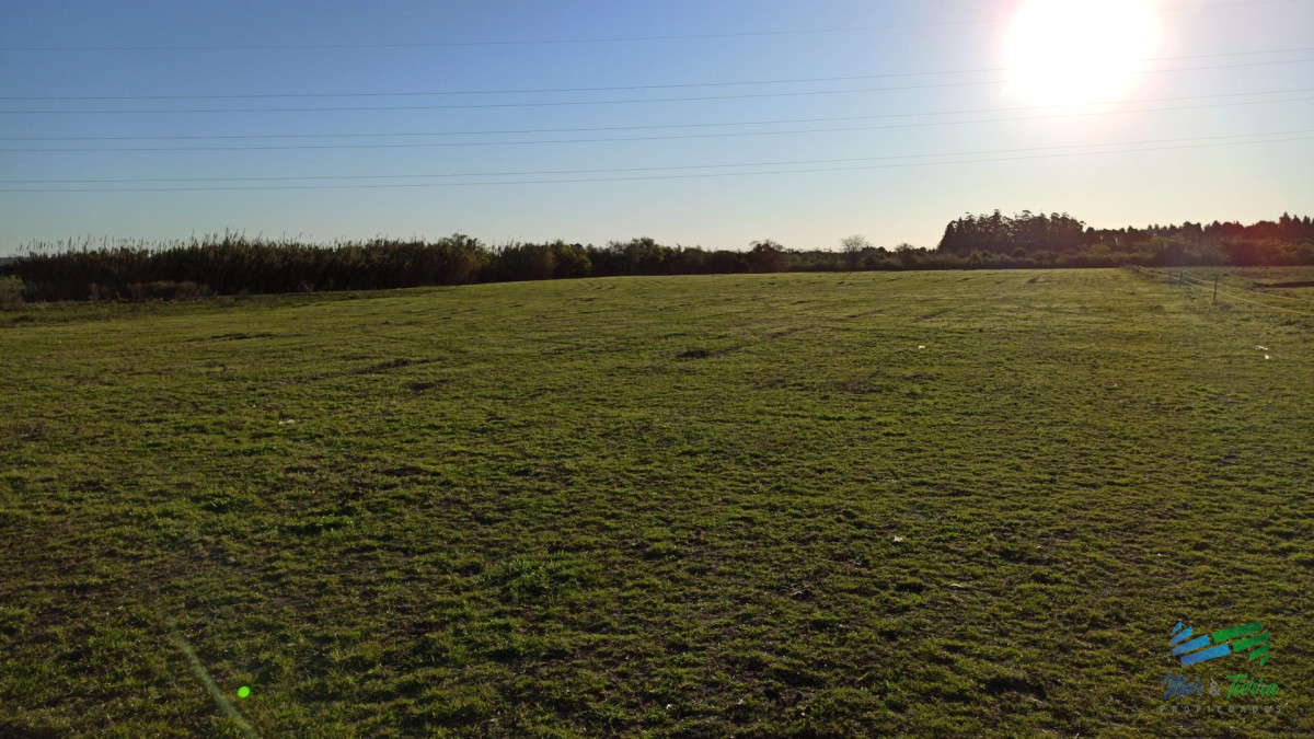 Campo Ref.3682 - 287 Has Ganaderas muy cerca de Ruta 26