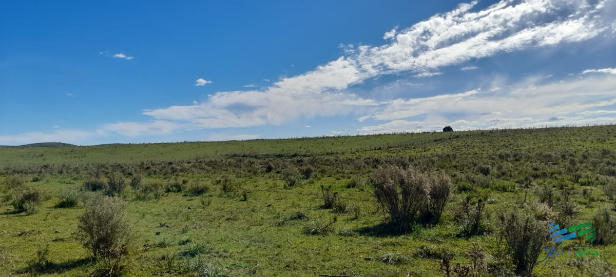 Campo Ref.4416 - Buen campo agrícola, muy bien ubicado. 83 Has