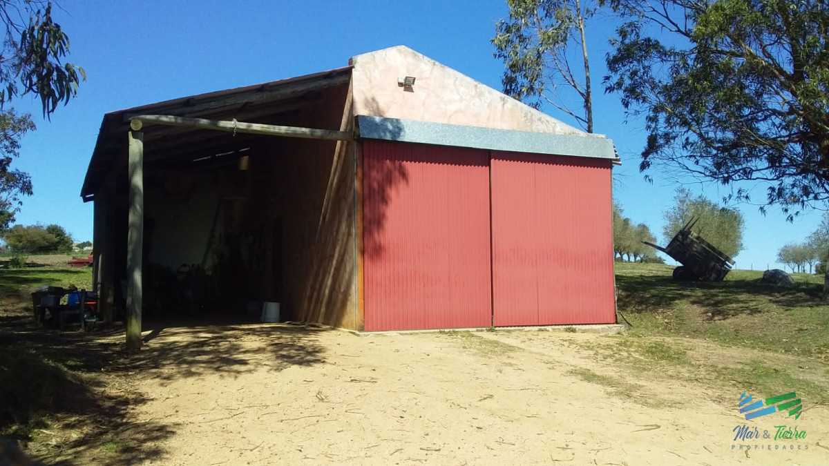 Campo Ref.4426 - Muy lindo campo de Recreo con Olivos a pocos mts de R.39 y 1 hora de Punta