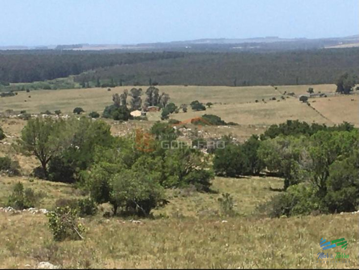 Campo Ref.3677 - 85 Has con casa a 30 minutos de Punta y 1 hora de Mdeo