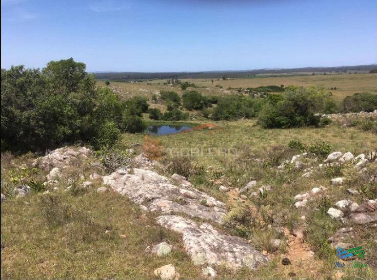 Campo Ref.3677 - 85 Has con casa a 30 minutos de Punta y 1 hora de Mdeo