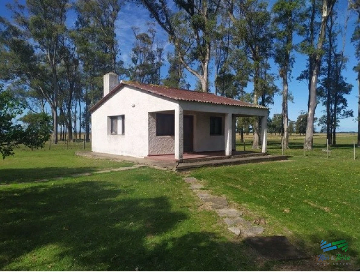 Campo Ref.4401 - Campo Arrocero-Ganadero 1.636 Has sobre Ruta