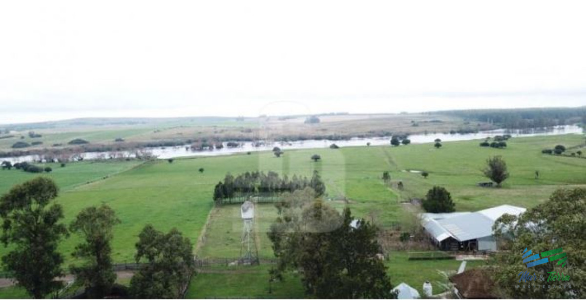 El Establecimiento Rural mas completo de Pueblo Edén y se vende a portera cerrada ! - GoPunta - Portal Inmobiliario de Punta del Este - Maldonado