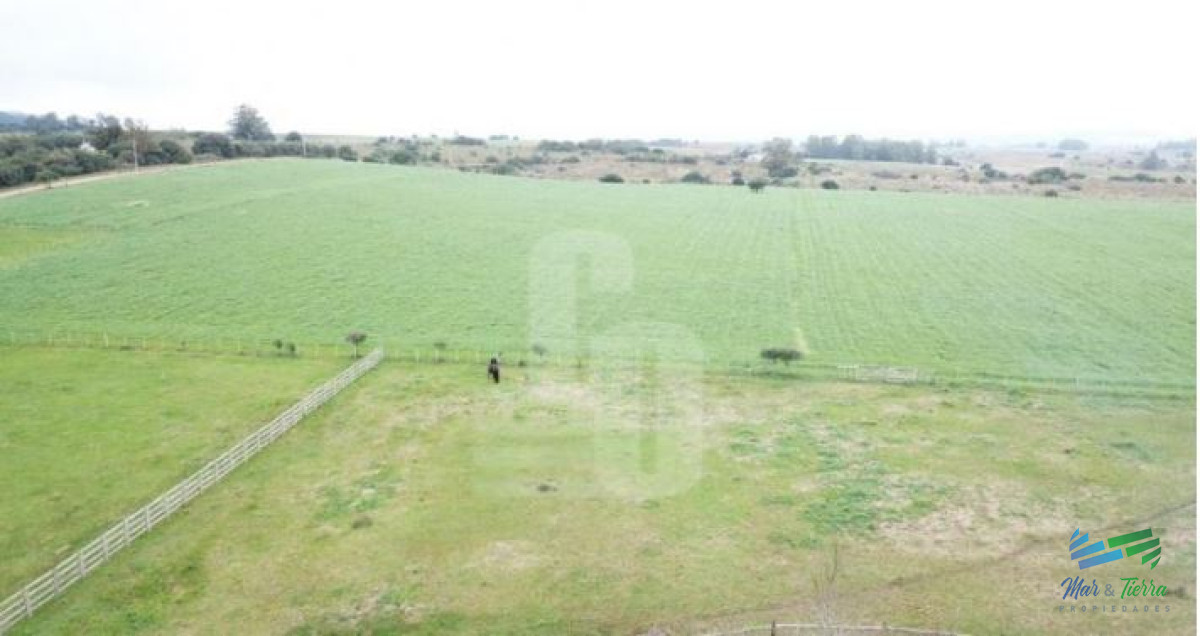 El Establecimiento Rural mas completo de Pueblo Edén y se vende a portera cerrada ! - GoPunta - Portal Inmobiliario de Punta del Este - Maldonado