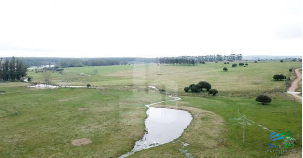 El Establecimiento Rural mas completo de Pueblo Edén y se vende a portera cerrada ! - GoPunta - Portal Inmobiliario de Punta del Este - Maldonado