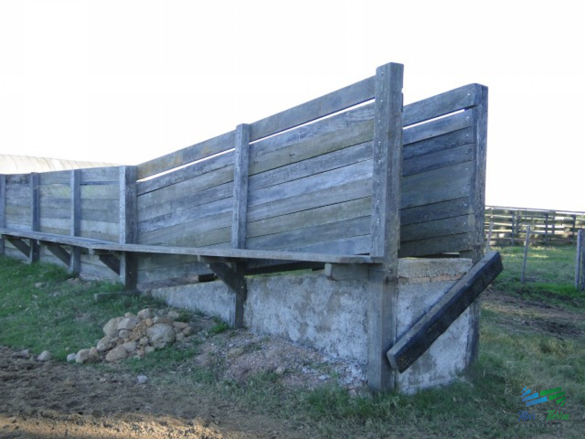 Campo Ref.3697 - 1.137 Has Campaso costa Laguna Negra