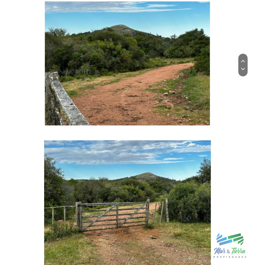 Campo Ref.4912 - 555 Has Campo Mixto Ganadero  Forestal