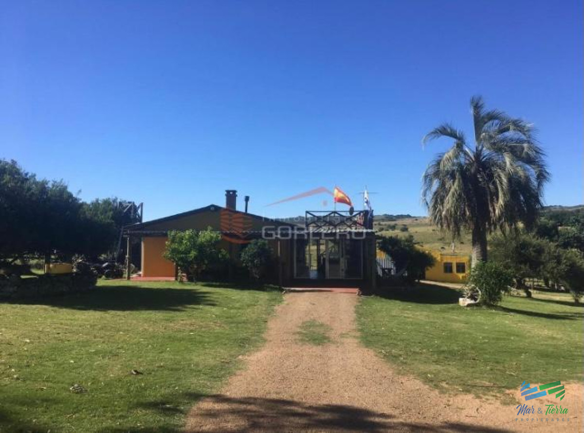 85 Has con casa a 30 minutos de Punta y 1 hora de Mdeo - GoPunta - Portal Inmobiliario de Punta del Este - Maldonado