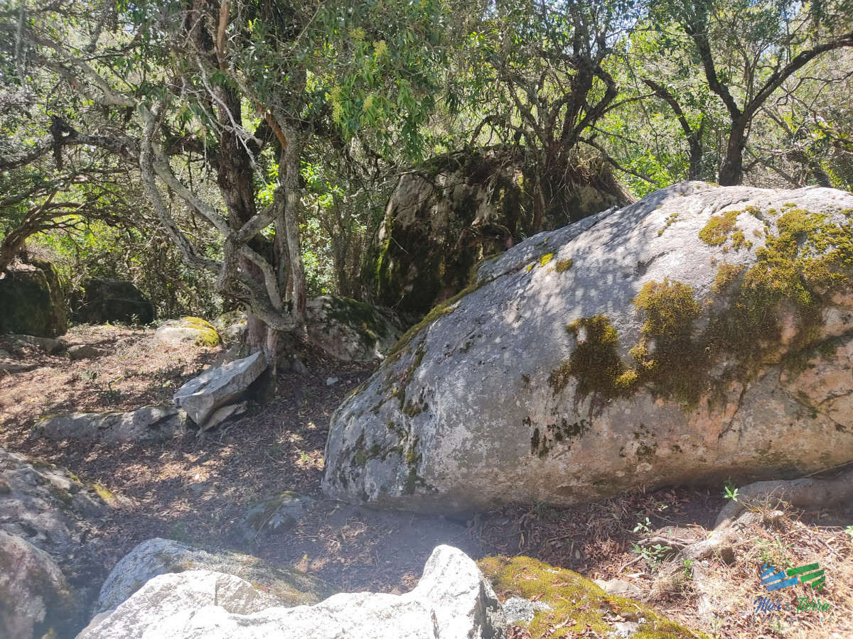 Campo Ref.5052 - Un lugar único en el punto mas alto del país, 76 Has Sierras, Paz y Vistas Increíbles !