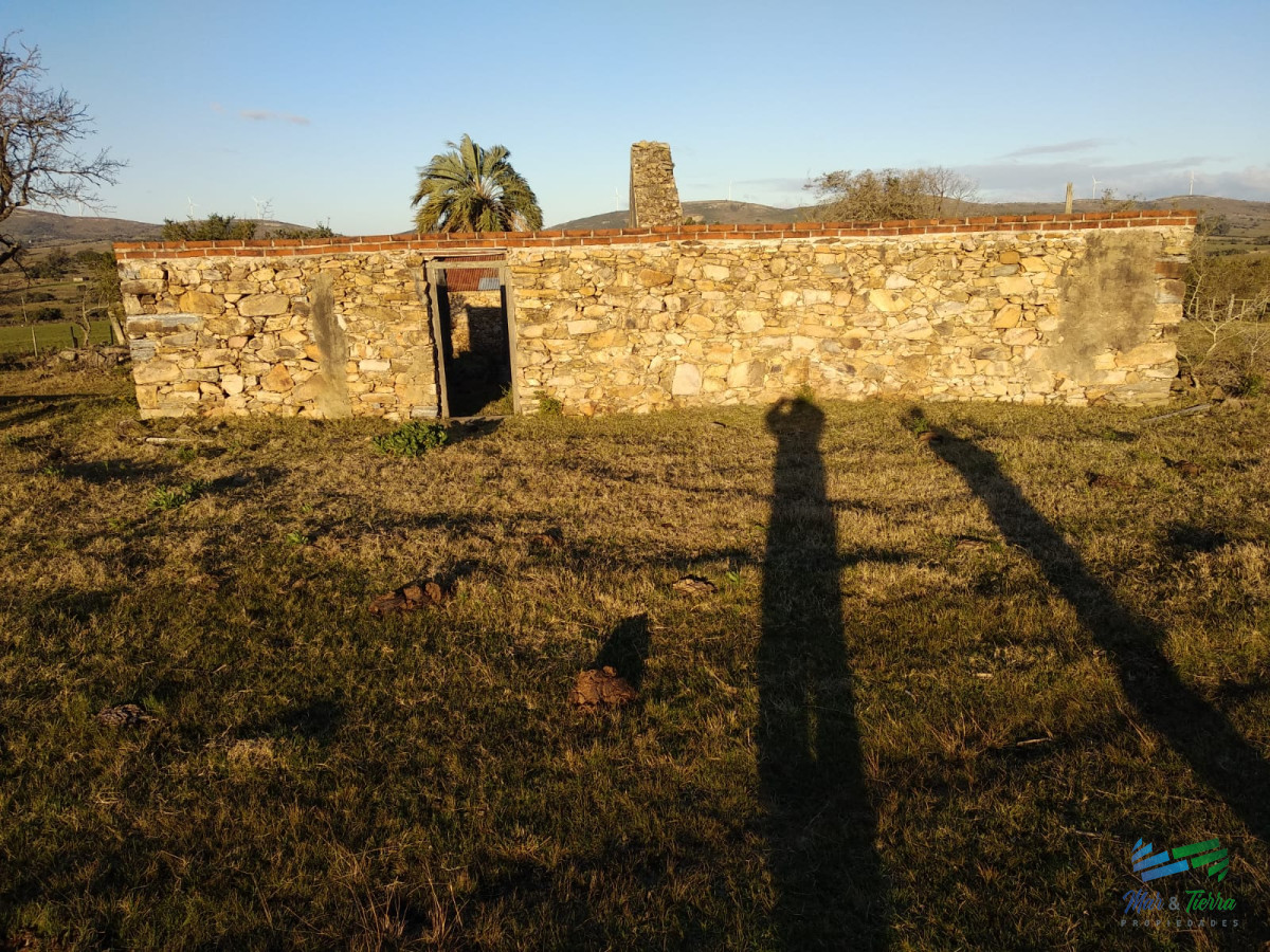 Campo Ref.3678 - 82 Has Cerca de Pueblo Edén y R.12
