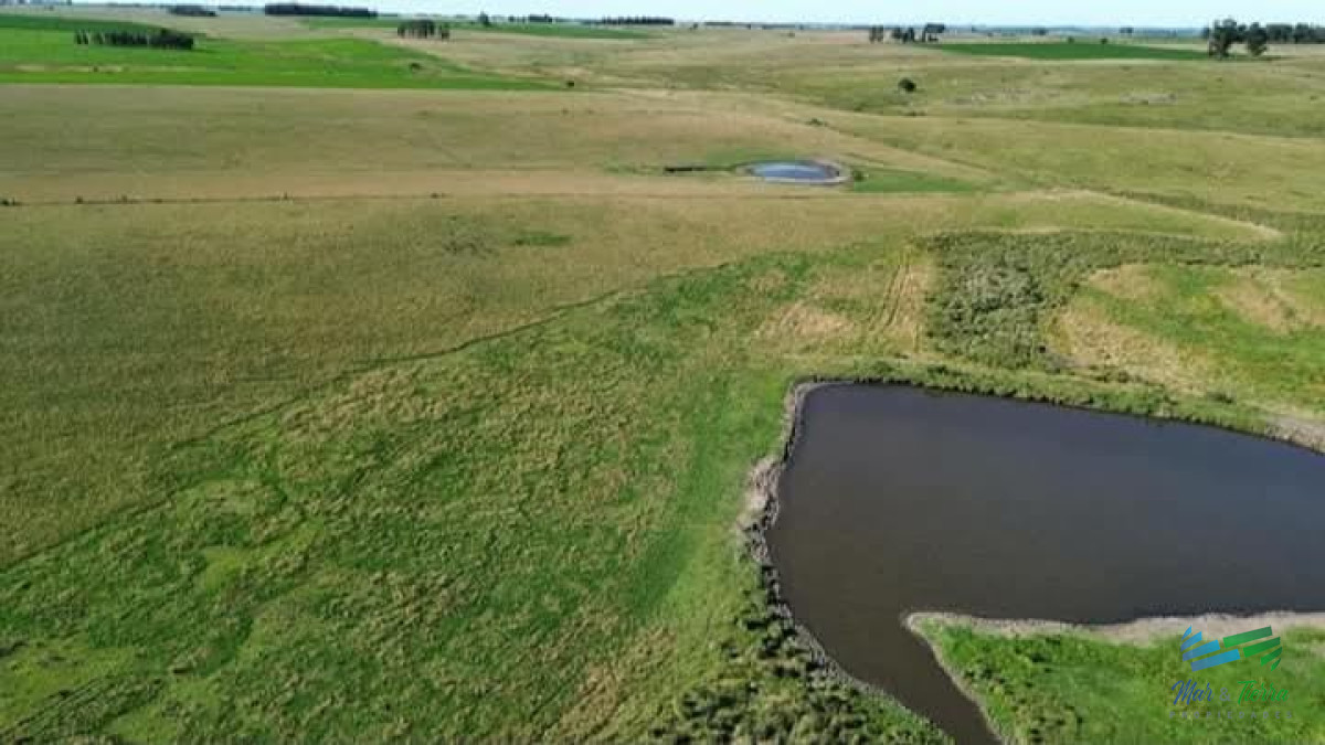 150 Has Campo Agrícola Ganadero a tan solo 10 Kms de Florida - GoPunta - Portal Inmobiliario de Punta del Este - Maldonado