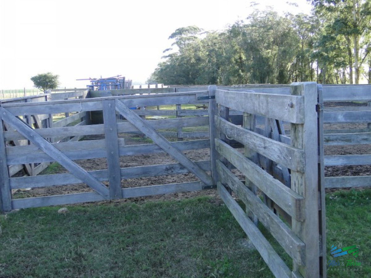 Campo Ref.3697 - 1.137 Has Campaso costa Laguna Negra