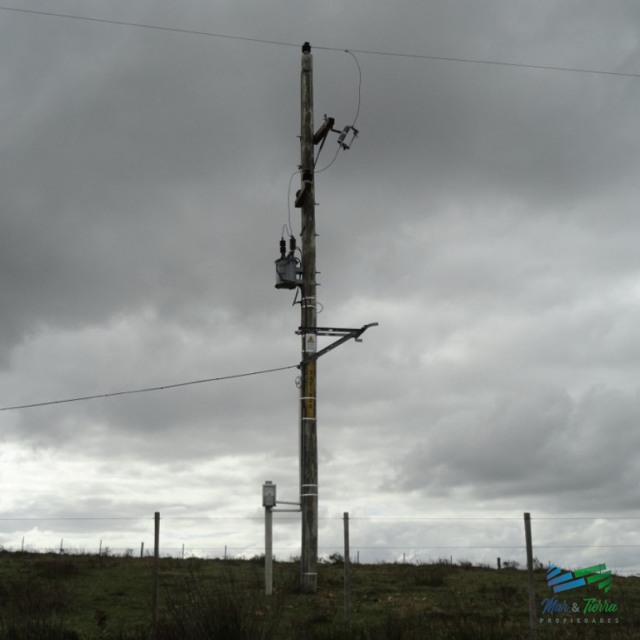 Campo Ref.3862 - 198 Has sobre Ruta 12, Arroyo, Monte Nativo a 15 kms de P. Edén