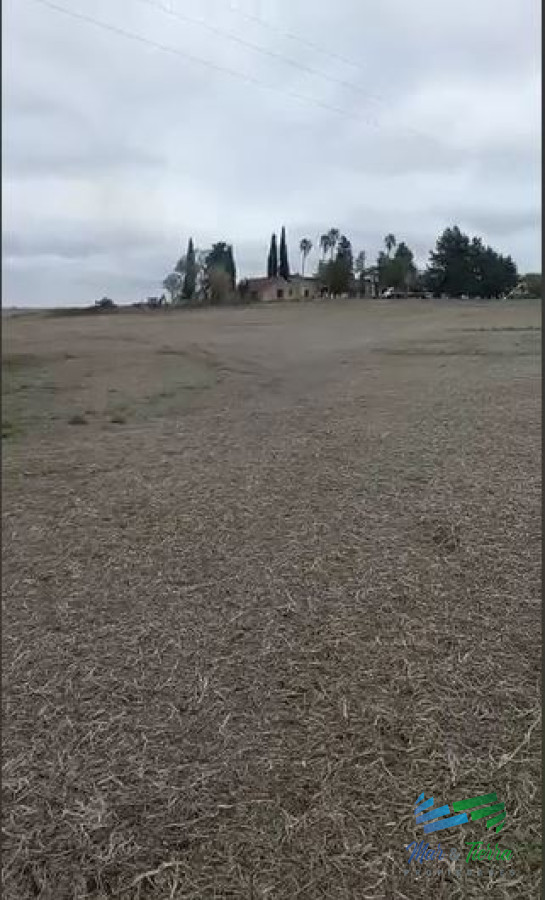 Campo Ref.4325 - Excelente ubicación, Campo Mixto a poca distancia de Mercedes, todo hecho a  nuevo !