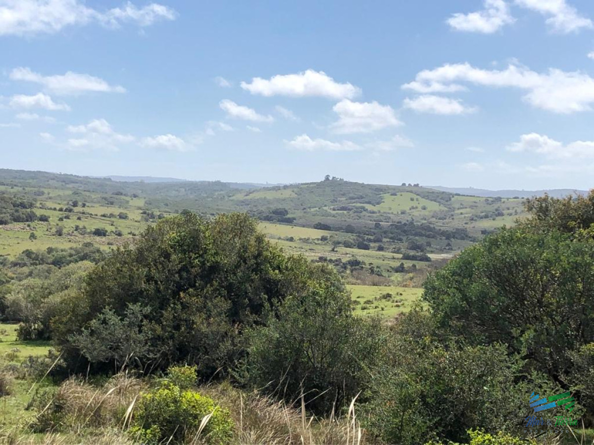 Campo Ref.4906 - 102 Has en las sierras, buen campo criador, cerca de Aigua