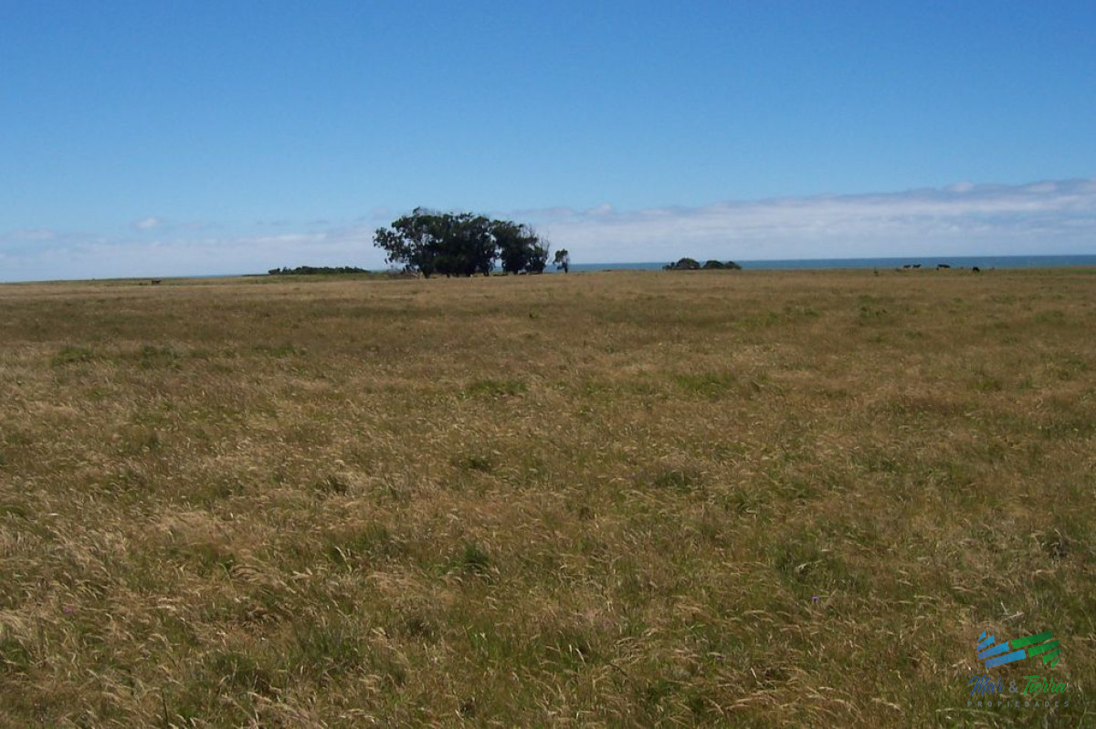 Campo Ref.5317 - Casi 1.500 mts de costa al Mar, único e irrepetible oportunidad de inversión en la costa uruguaya!