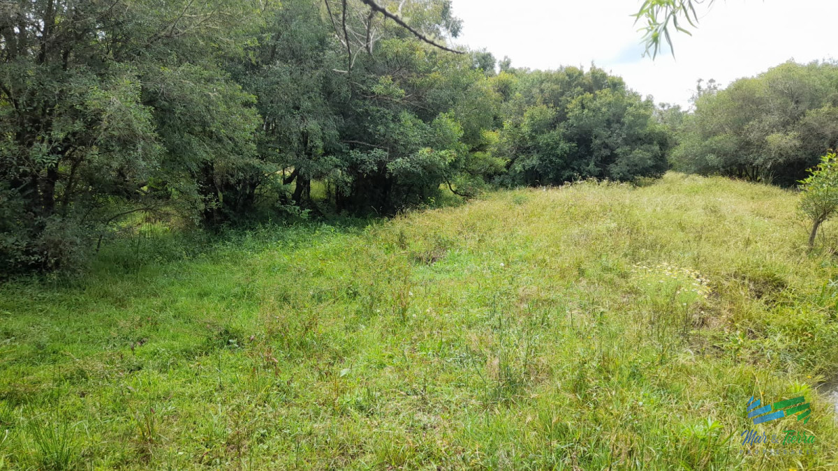 Campo Ref.3681 - 128 Has Agrícola-Ganaderas sobre Ruta 9 (Tambo)