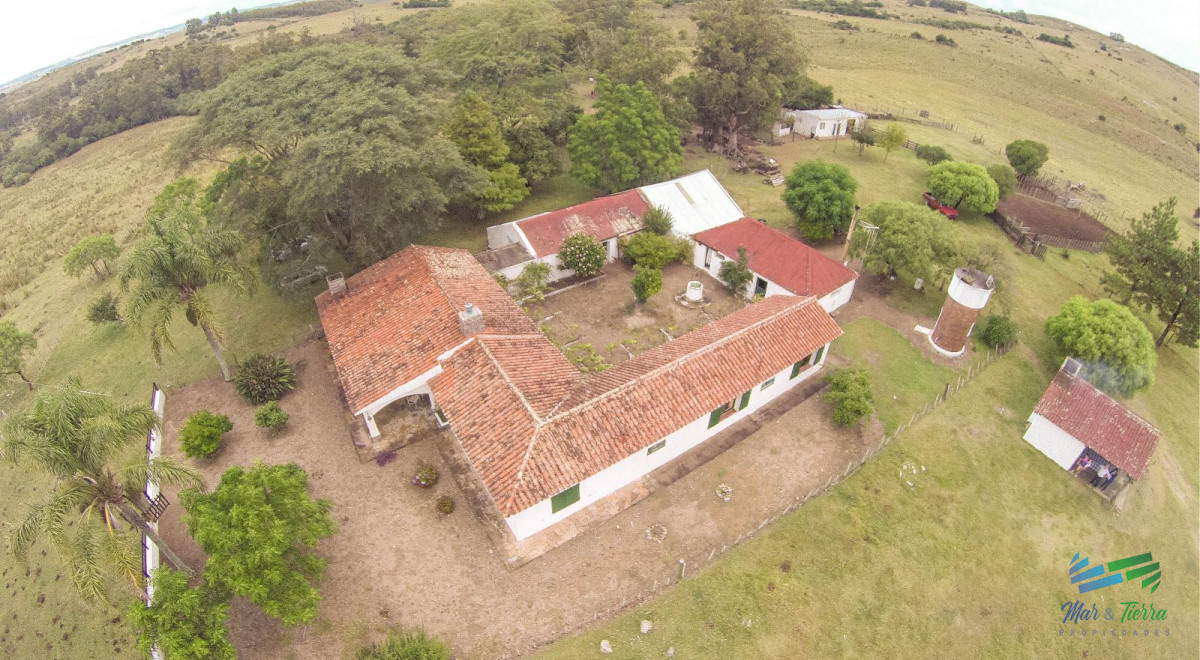 Campo Ref.4410 - Muy buen campo mixto Ganadero-Forestal de 690 Has y bien ubicado