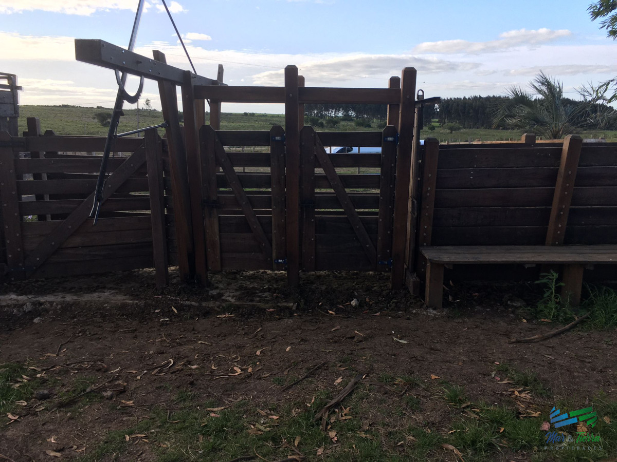 Campo Ref.4907 - 312 Has Campaso Mixto a 1 hora de Mdeo y Punta !