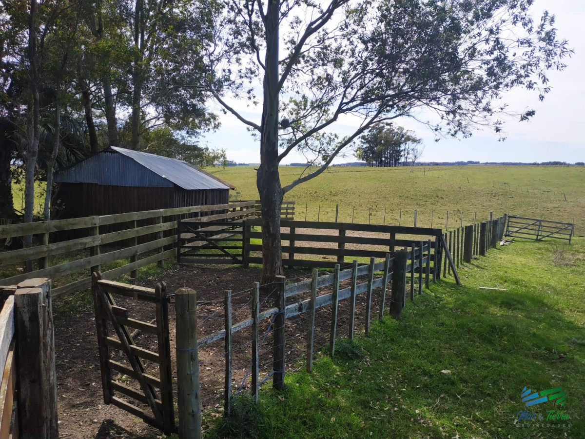 Campo Ref.4237 - Muy linda fracción de 138 Has en Las Garzas