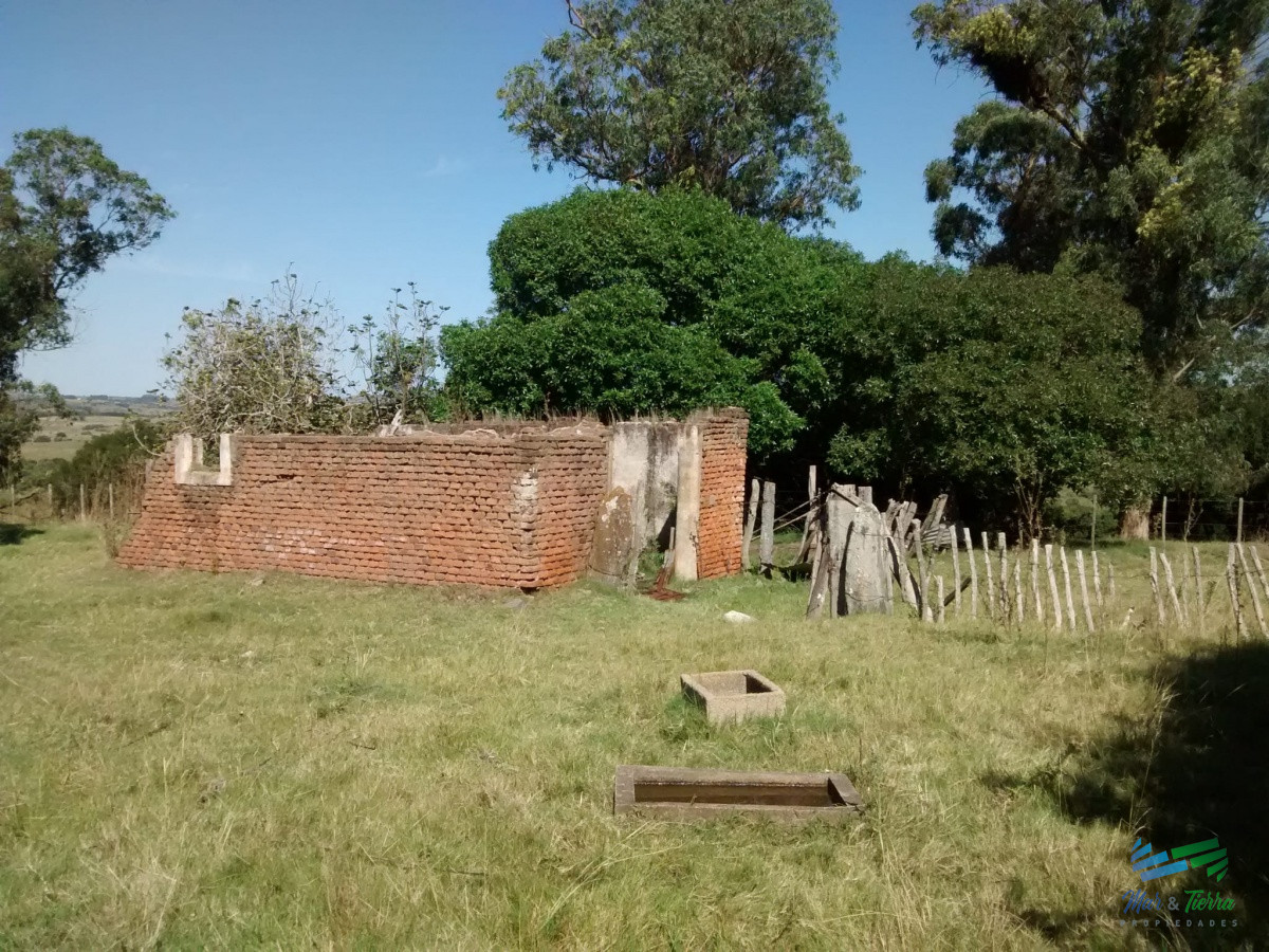 Campo Ref.4113 - 51 Has Campo Secreto