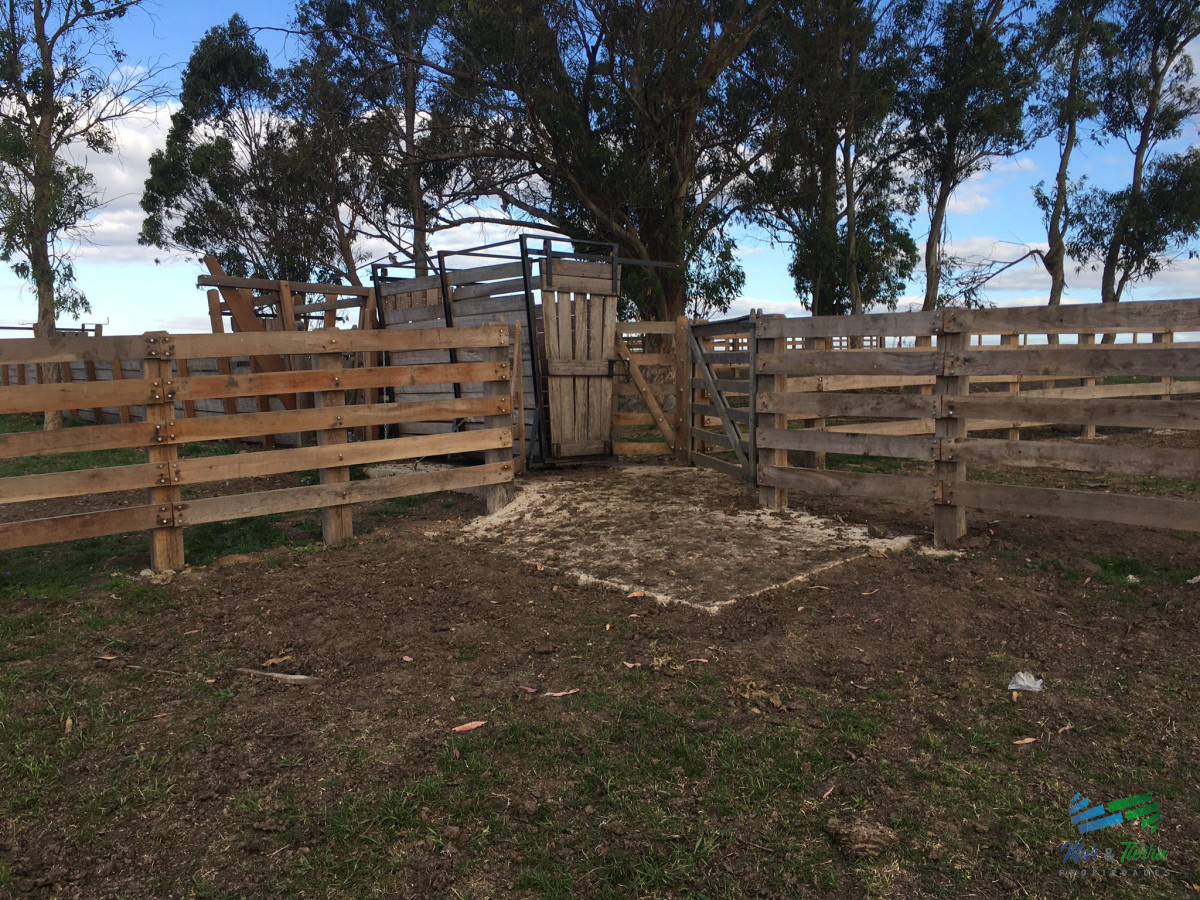 Campo Ref.4907 - 312 Has Campaso Mixto a 1 hora de Mdeo y Punta !