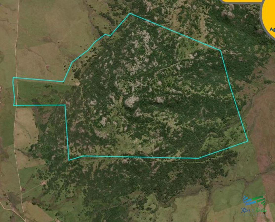 Campo Ref.4235 - 902 Has Sierras con prioridad forestal
