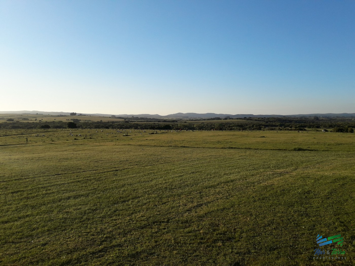 Campo Ref.4168 - Muy lindo campo en Jose Ignacio con importante casa y costa al arroyo Jose Ignacio