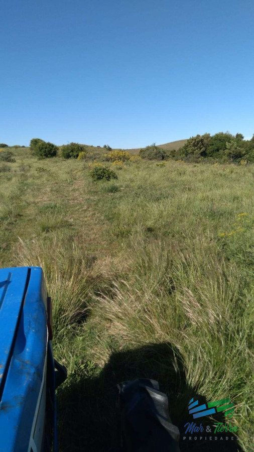 Campo Ref.4502 - Linda fracción de campo ganadero con aptitud forestal