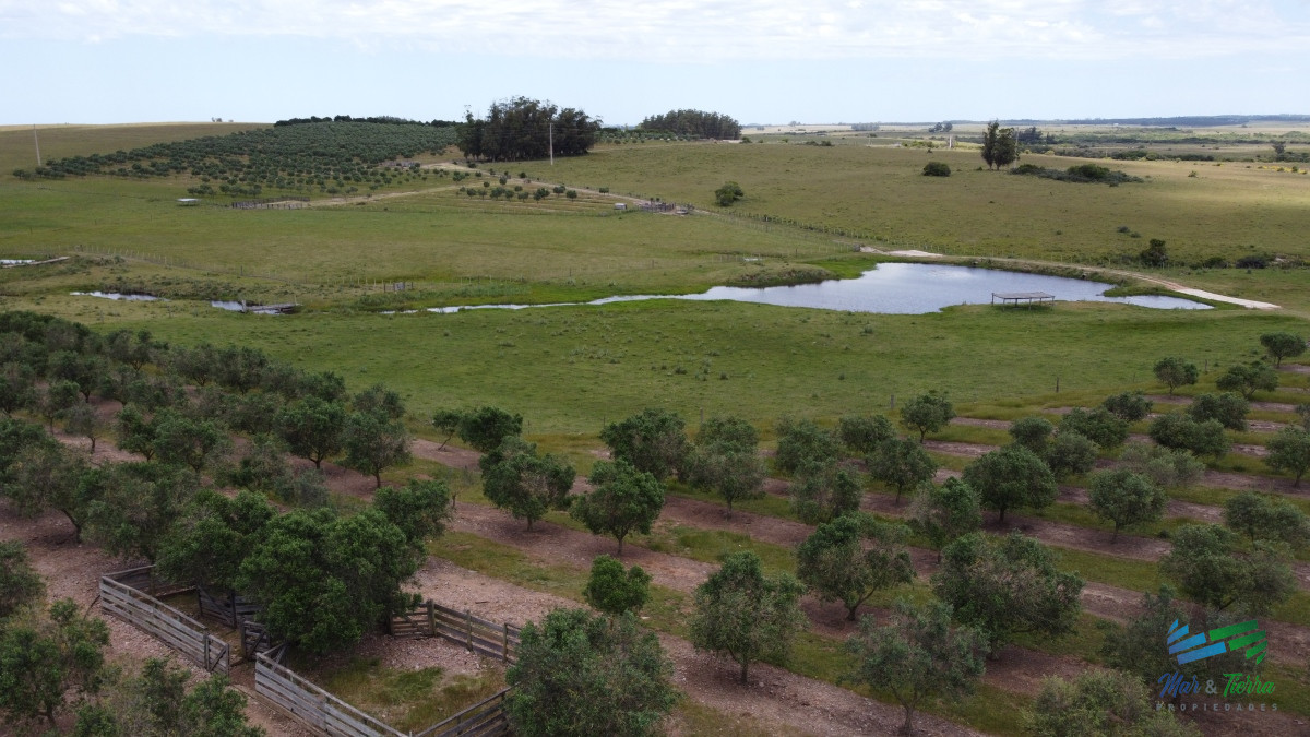 Campo Ref.5410 - Establecimiento productivo completo, a pocos Kms de Garzón y de R.9, inmejorable ubicación.