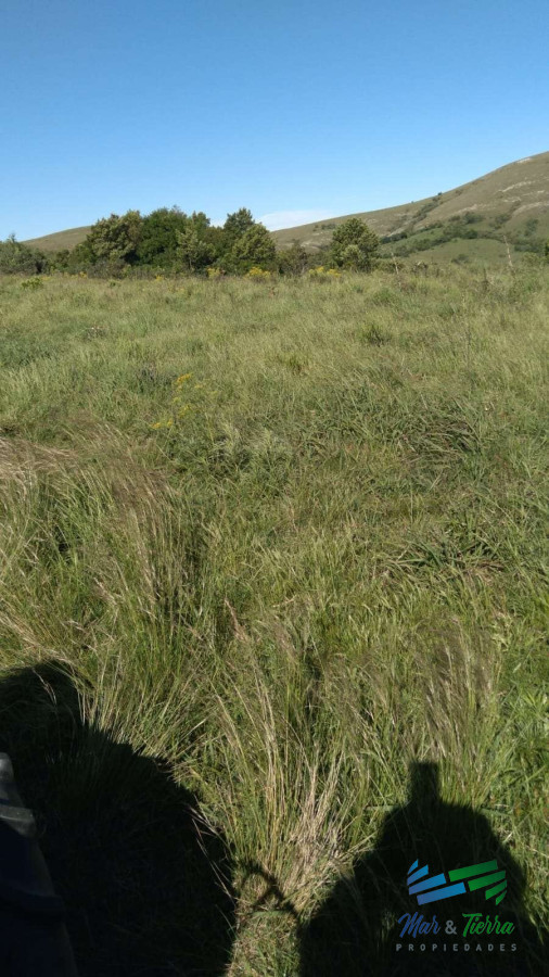 Campo Ref.4502 - Linda fracción de campo ganadero con aptitud forestal