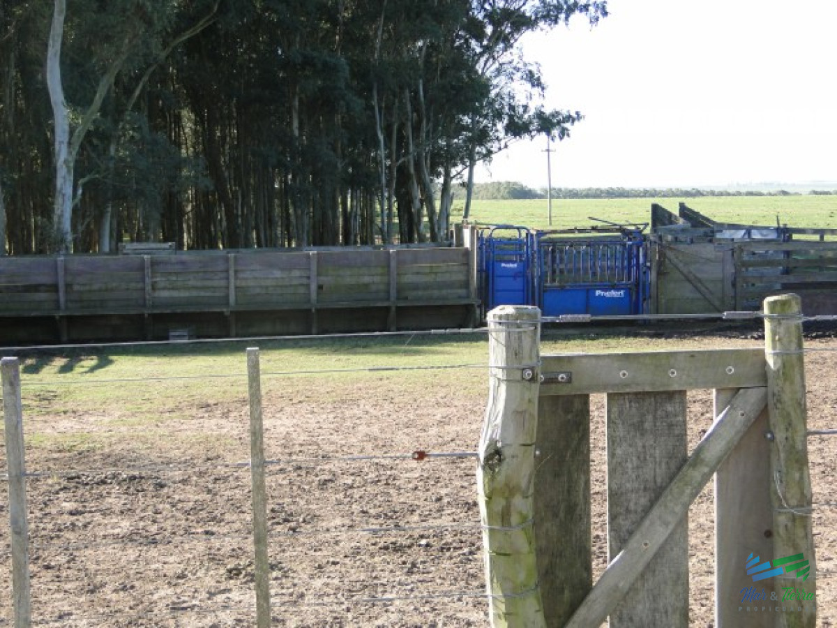 Campo Ref.3697 - 1.137 Has Campaso costa Laguna Negra