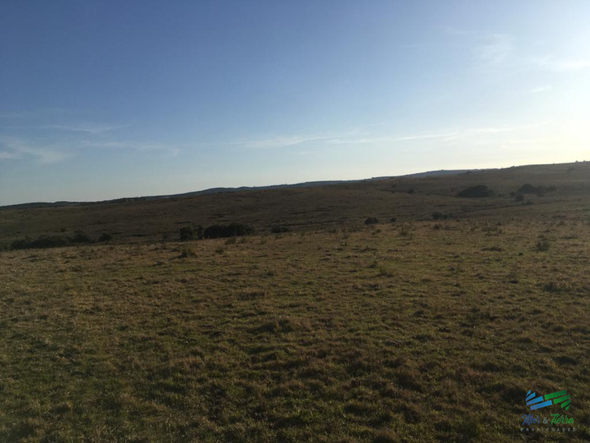 Campo Ref.4058 - 104 Has en Garzon