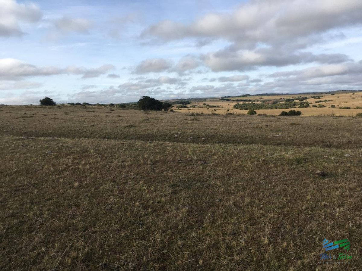 Campo Ref.4057 - 47 Has a 20 minutos Jose Ignacio y 3 kms de R.9