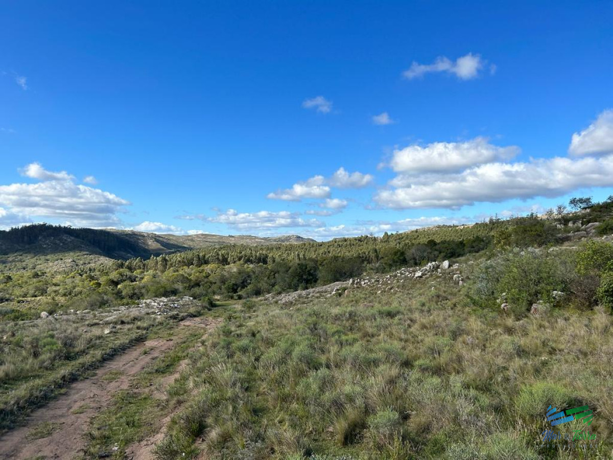 Campo Ref.4336 - Lindo campo para fraccionar, sobre ruta y a poco mas de 1 hora de Punta
