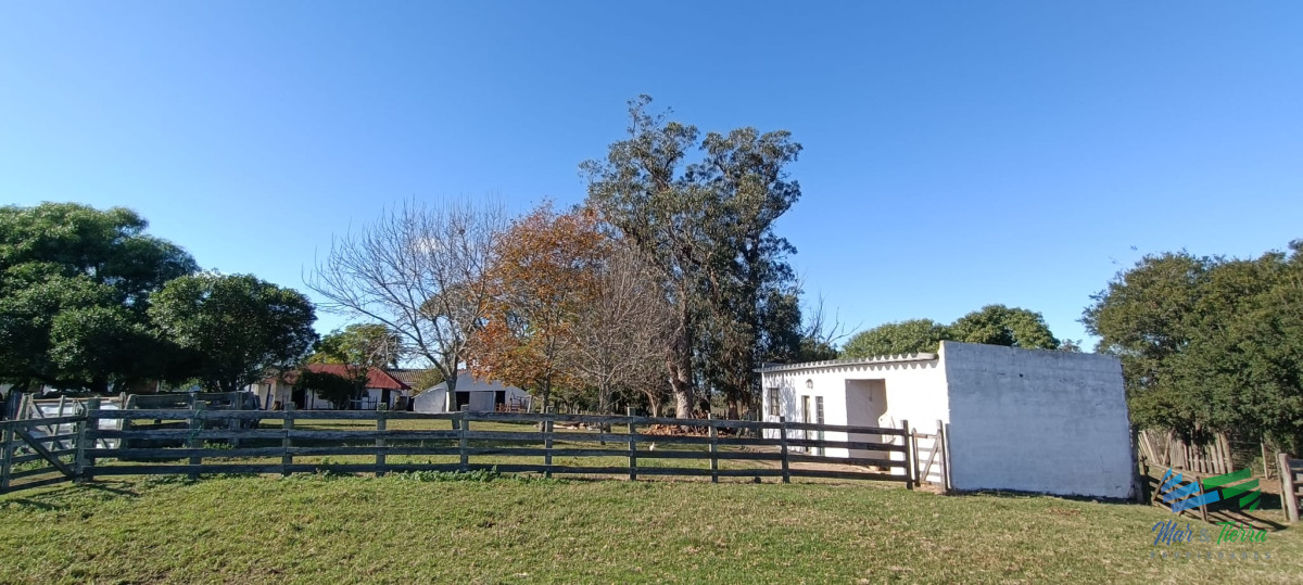 Campo Ref.4410 - Muy buen campo mixto Ganadero-Forestal de 690 Has y bien ubicado