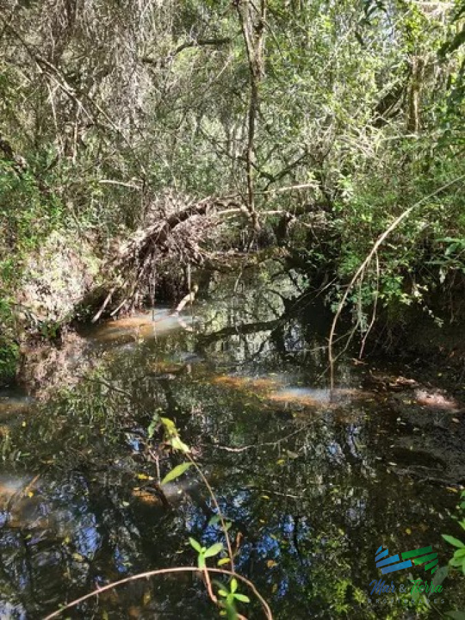 Campo Ref.5119 - Campo Agrícola - Ganadero, 422 Has sobre Ruta 15