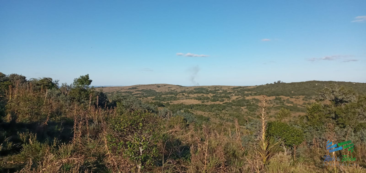 Campo Ref.3898 - 76 Has Campo en Sierras de Garzón