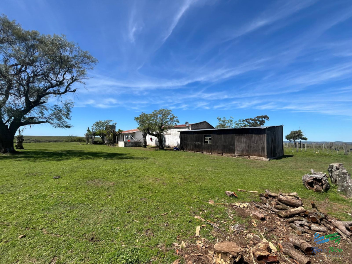 Campo Ref.5734 - Campo ganadero a buen precio!