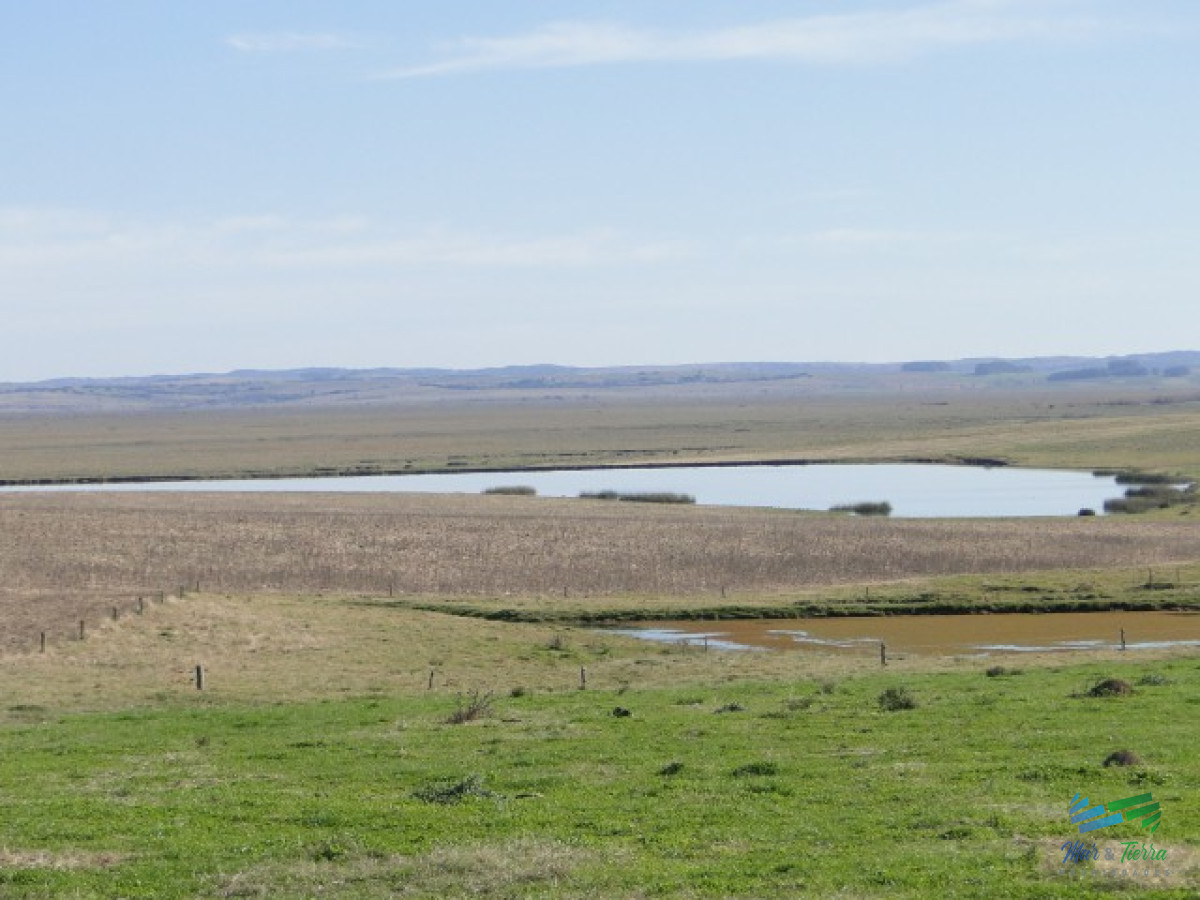 Campo Ref.3697 - 1.137 Has Campaso costa Laguna Negra