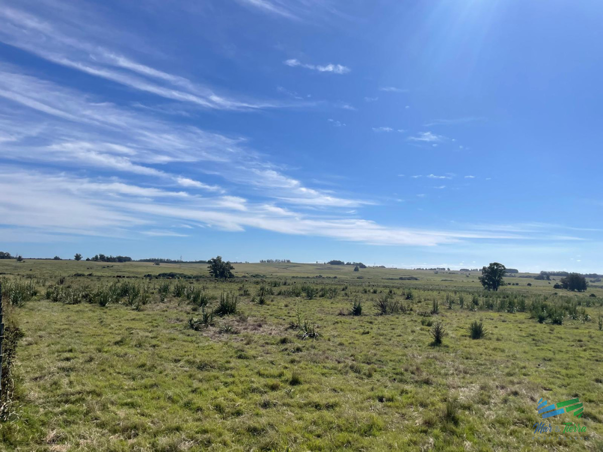 50 Has a 15 minutos de José Ignacio, Ideal para fraccionar ! - GoPunta - Portal Inmobiliario de Punta del Este - Maldonado