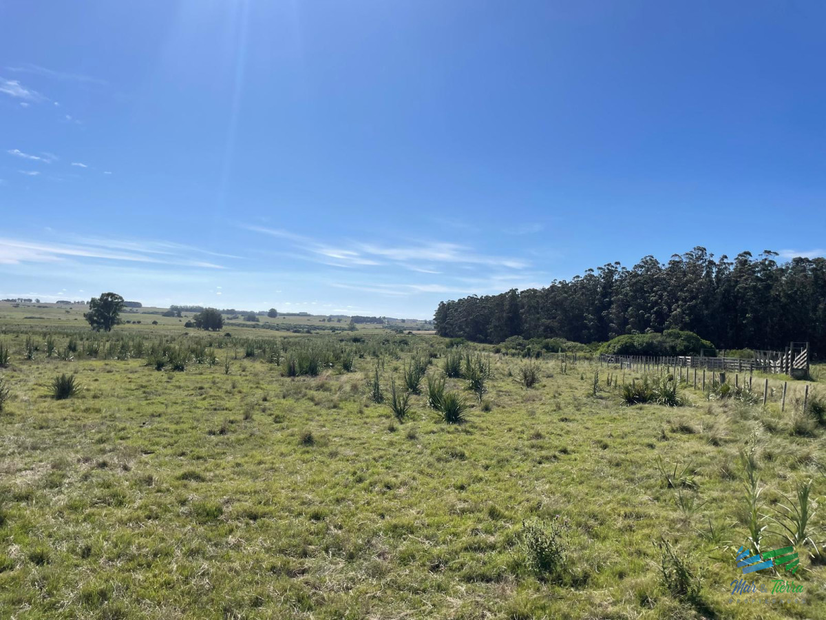 50 Has a 15 minutos de José Ignacio, Ideal para fraccionar ! - GoPunta - Portal Inmobiliario de Punta del Este - Maldonado