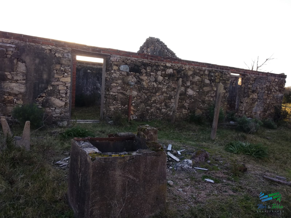 Campo Ref.3678 - 82 Has Cerca de Pueblo Edén y R.12