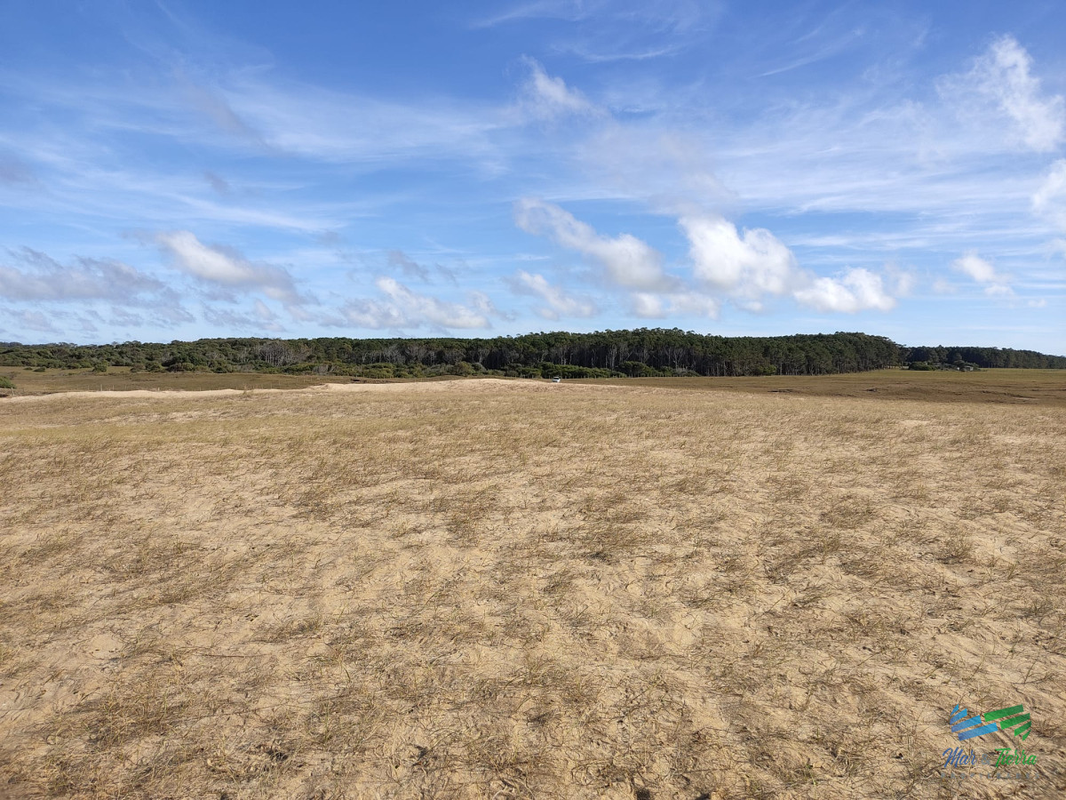 Campo Ref.5317 - Casi 1.500 mts de costa al Mar, único e irrepetible oportunidad de inversión en la costa uruguaya!