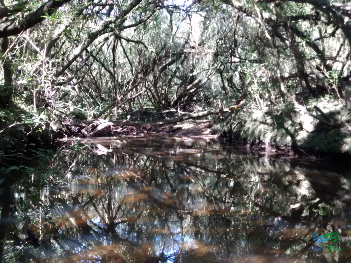 Campo Ref.4409 - Pintoresco campo Ganadero muy bien ubicado.