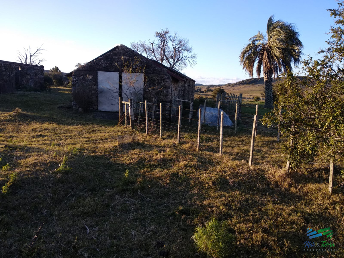 Campo Ref.3678 - 82 Has Cerca de Pueblo Edén y R.12