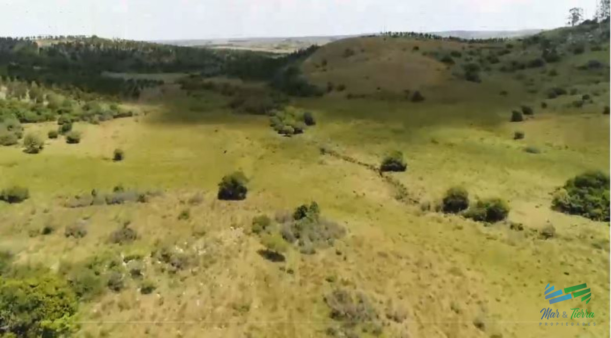 Campo Ref.4248 - Campo Ganadero y Recreo en Garzón 116 Has con casa