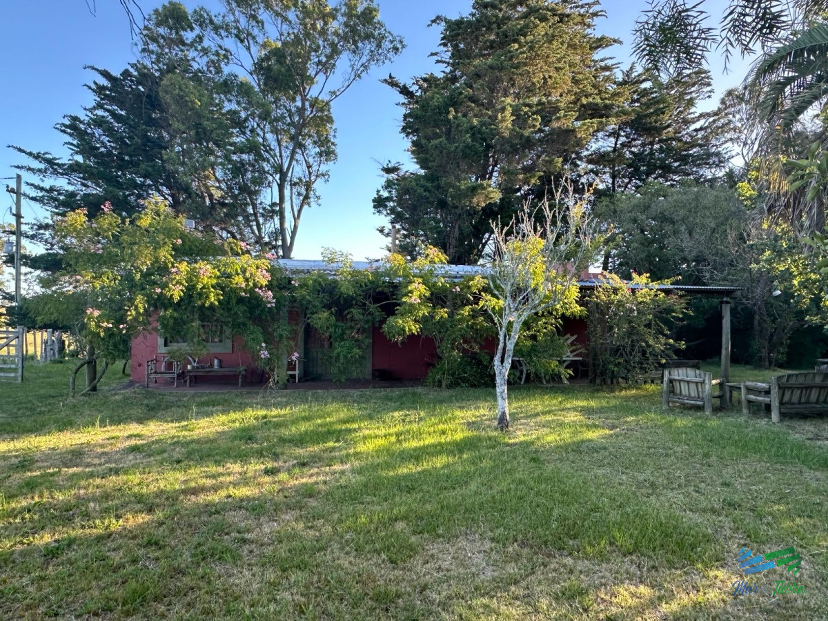 Campo Ref.4636 - Precioso Campito de 80 Has a 15 minutos del mar y sobre asfalto, DESESTRESATE !