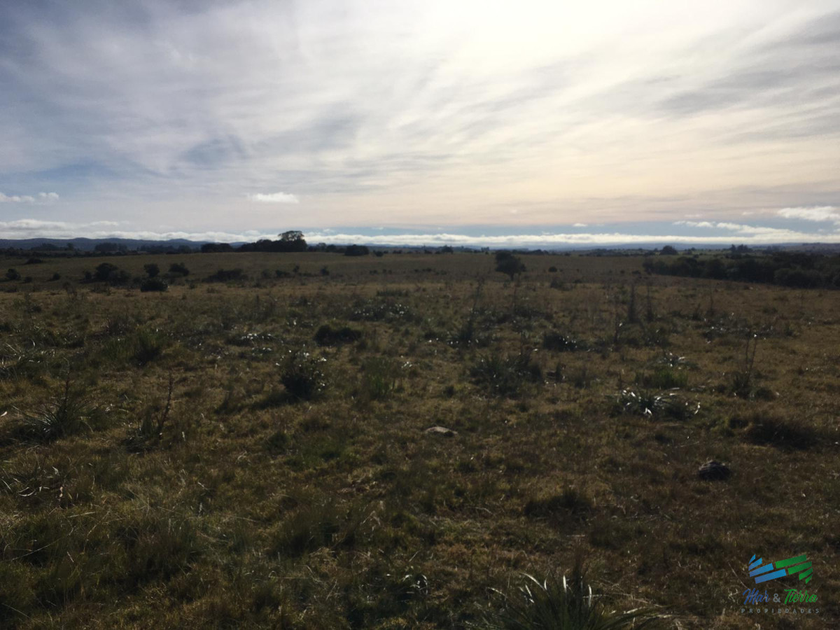 Campo Ref.4003 - 210 Has Ganaderas muy buenas IC 105