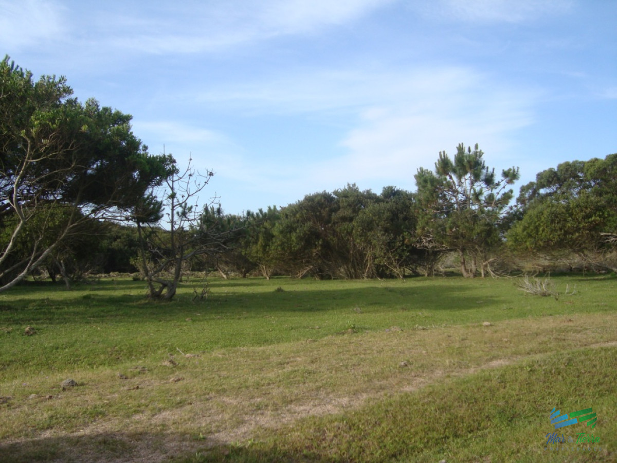 Ultimas 70 Has con títulos, Única fracción con Costa al Mar Directo ! - GoPunta - Portal Inmobiliario de Punta del Este - Maldonado